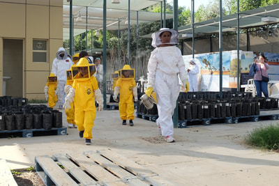 First licensed UAE Beekeepers Association launches in Dubai